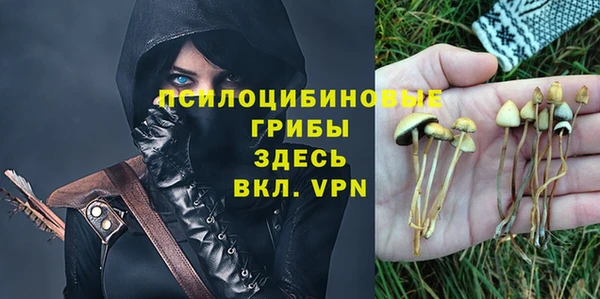 Альфа ПВП Вязьма