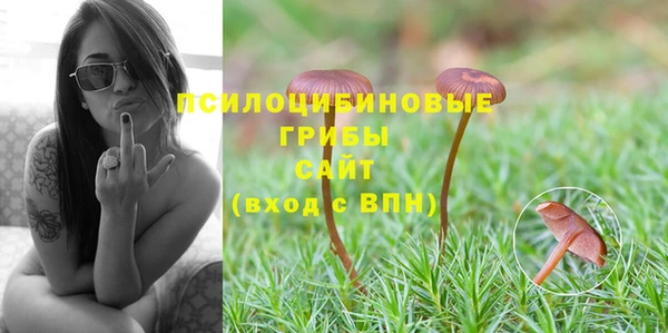 Альфа ПВП Вязьма
