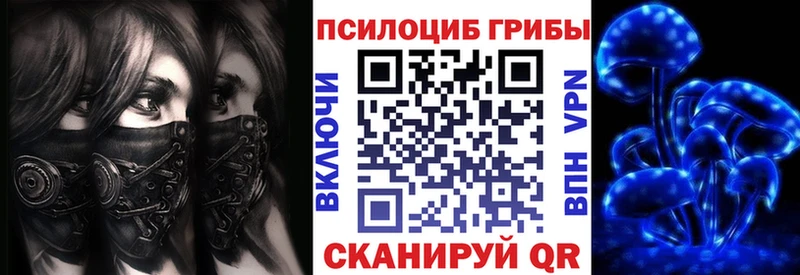 Купить  Харовск  Псилоцибиновые грибы Magic Shrooms 